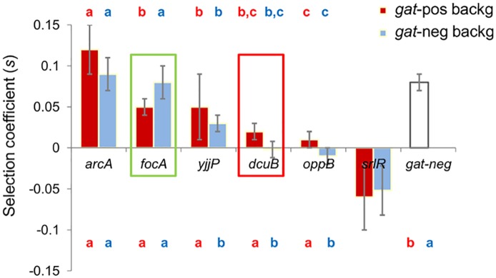 Fig 5