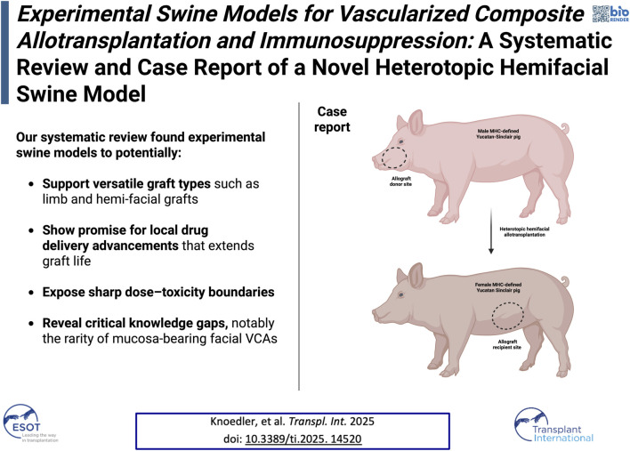 Experimental swine models aid various graft types, enhance drug delivery, identify dose-toxicity limits, and expose knowledge gaps, especially in mucosa-bearing facial VCAs. Includes case report illustrations of male and female pigs showing donor and recipient sites for heterotopic hemifacial allotransplantation.