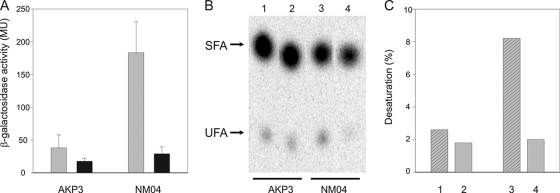 FIG. 5.