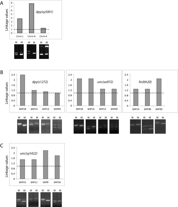 Figure 5