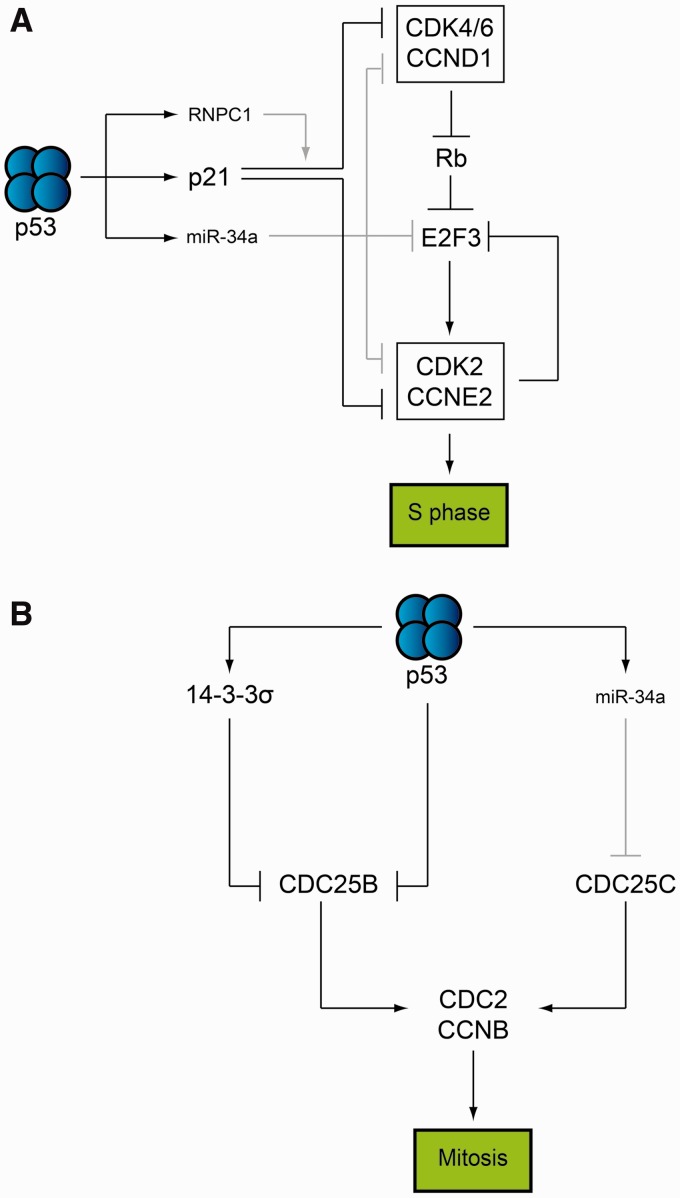 Figure 3: