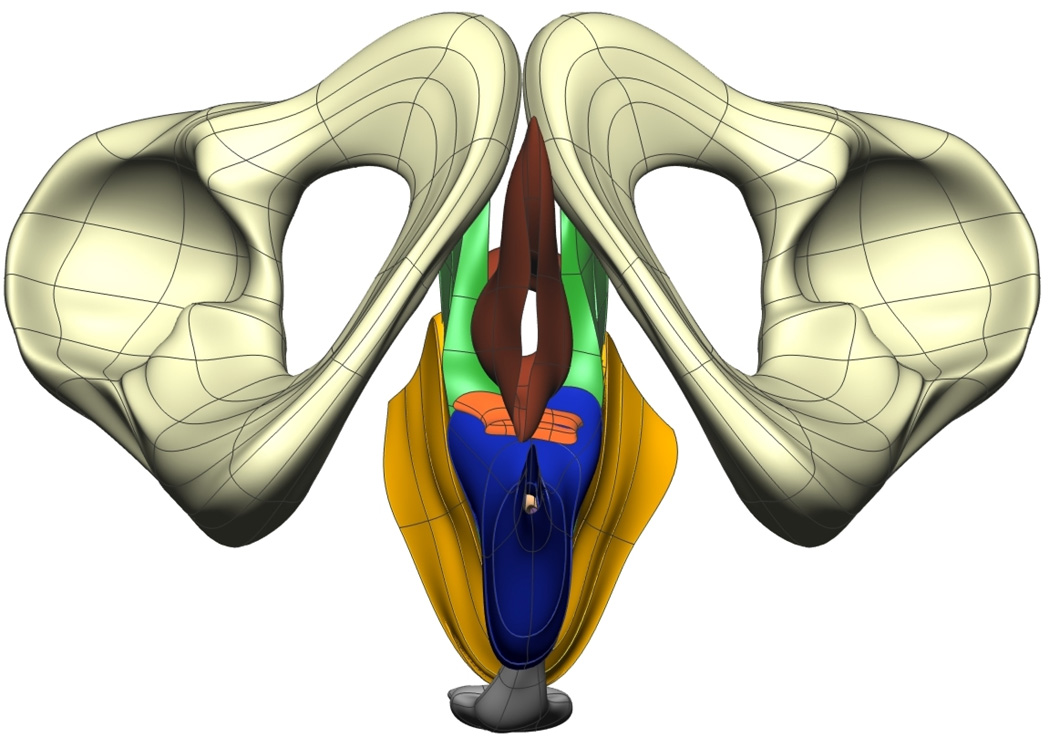 Fig. 8