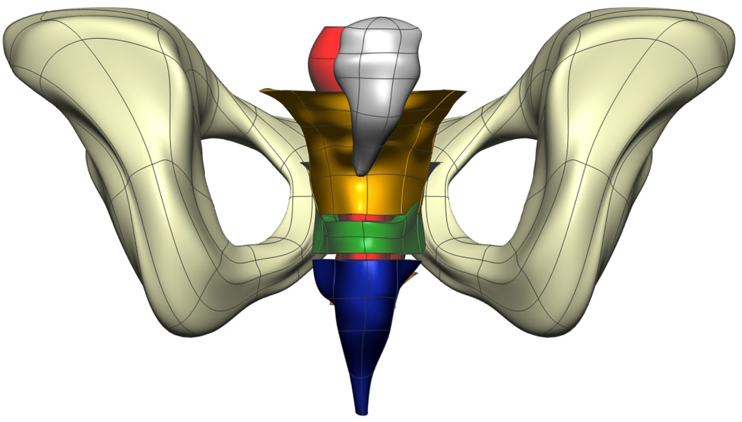 Fig. 8