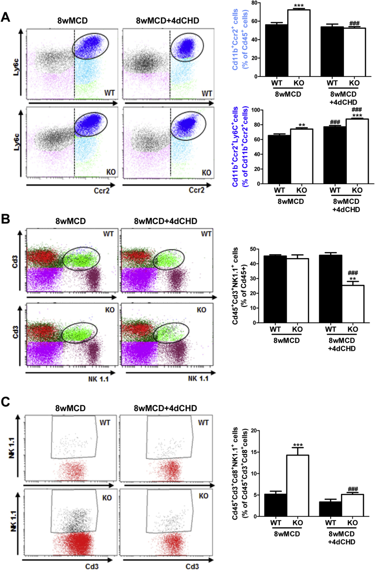 Figure 6