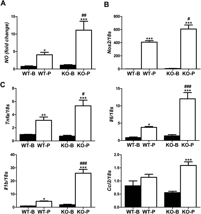 Figure 4