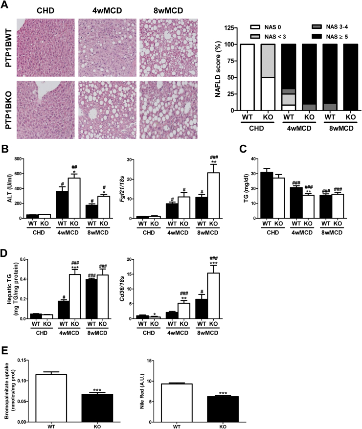 Figure 1