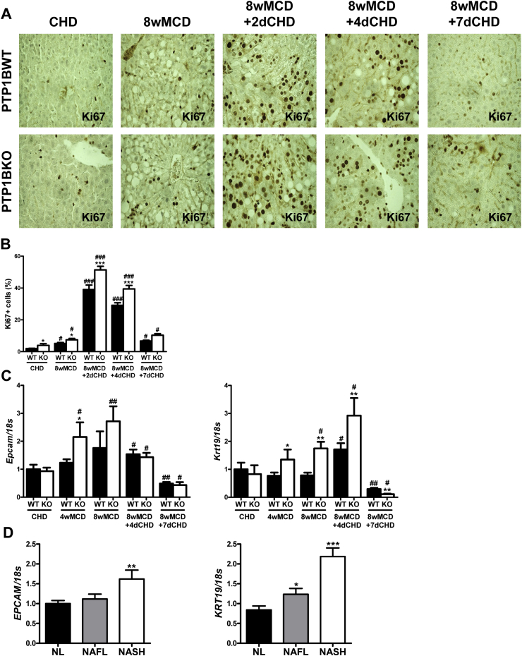 Figure 7