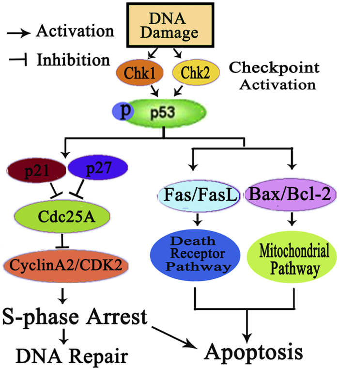 Figure 15