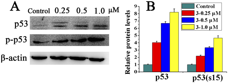 Figure 14