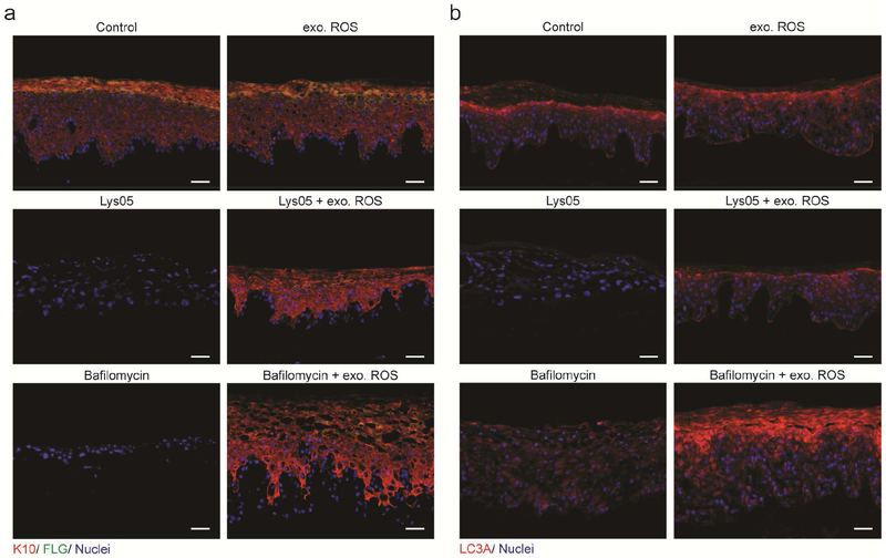 Figure 5: