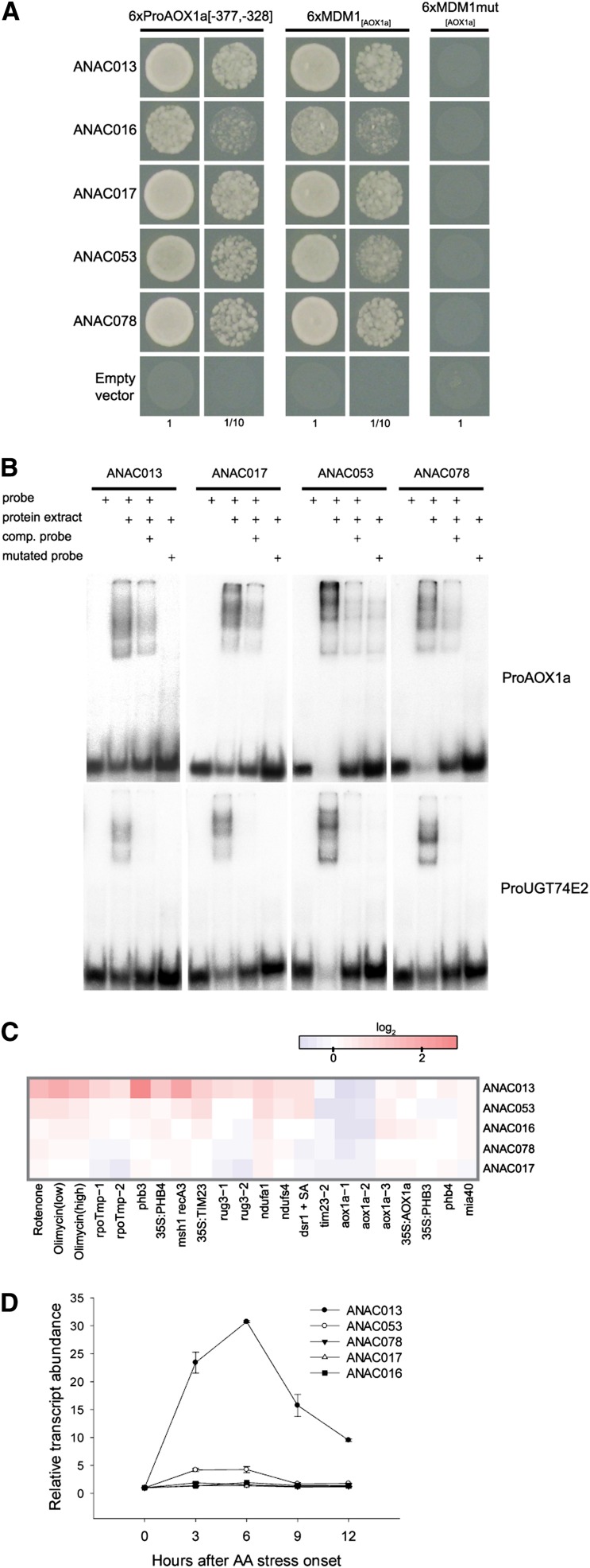 Figure 3.