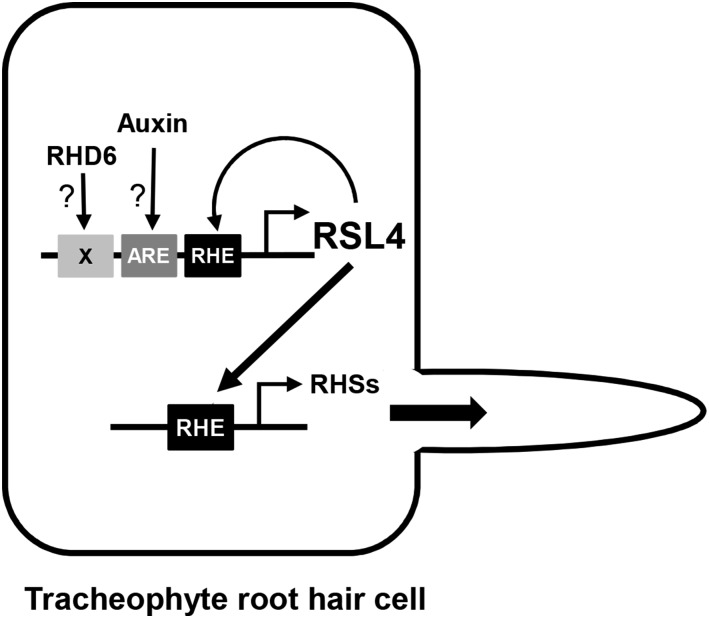 Figure 10.