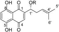 graphic file with name molecules-23-02820-i001.jpg