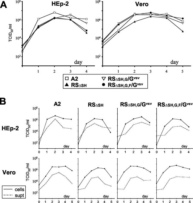 FIG. 7.