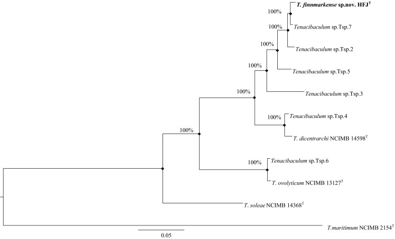 Fig. 3