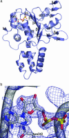Fig. 1.