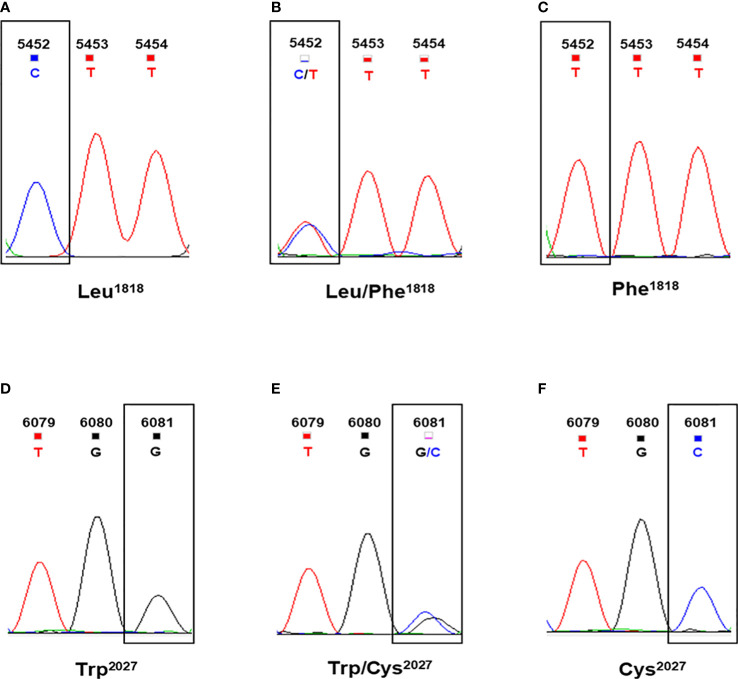 Figure 3