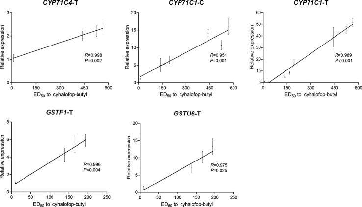 Figure 6