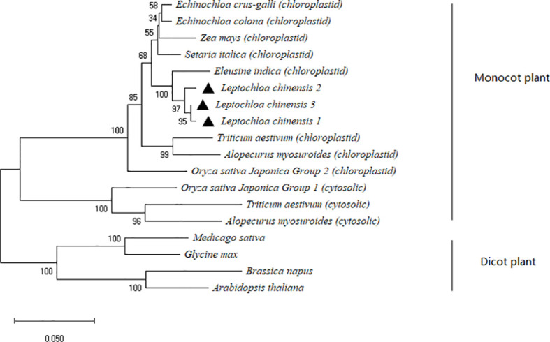 Figure 1