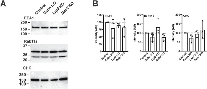 FIGURE 4: