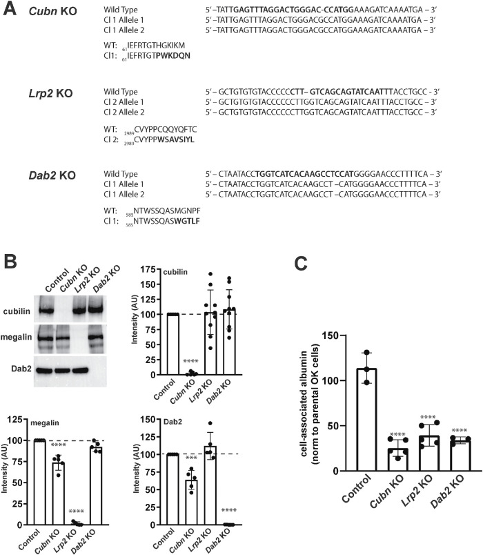 FIGURE 1: