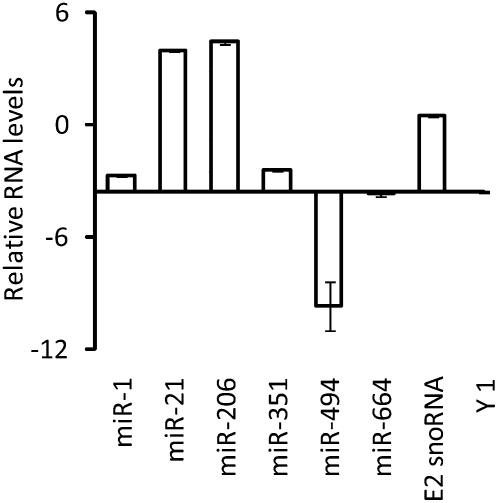 FIGURE 4.