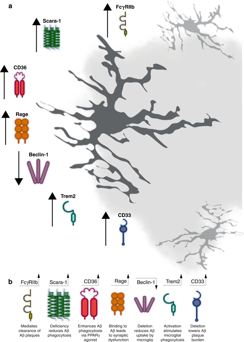 Fig. 2