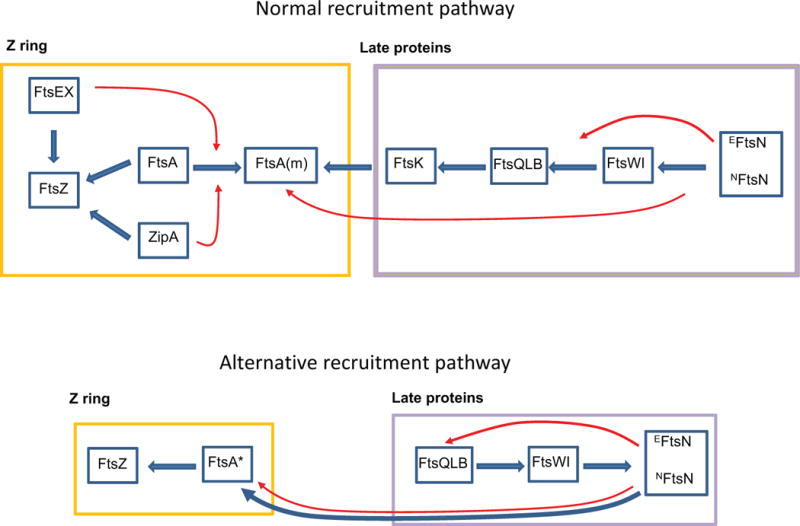 Fig. 2