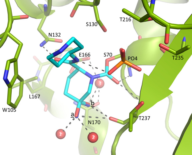 Fig 6