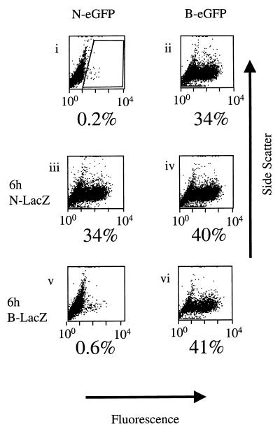 FIG. 2.