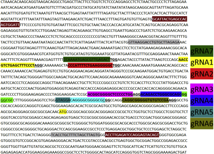 Figure 1