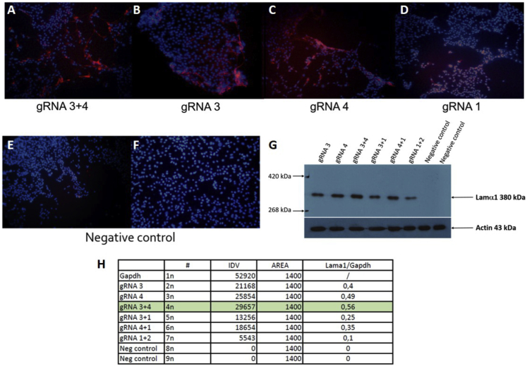 Figure 6