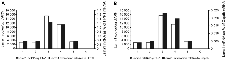 Figure 3