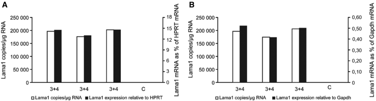 Figure 5