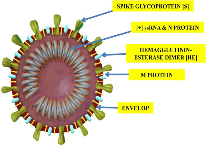 Fig. 1