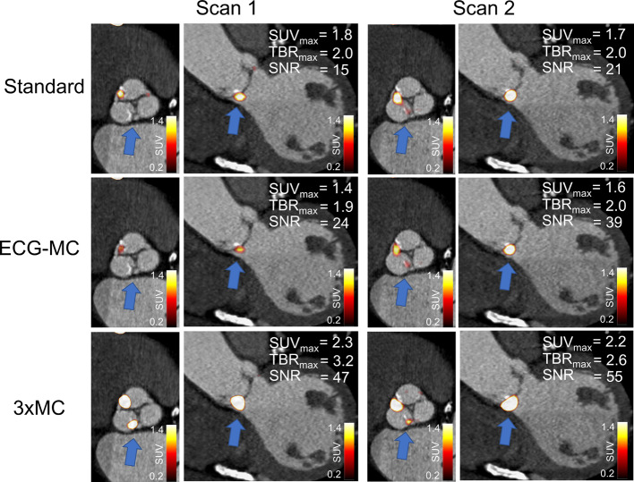 Fig. 8