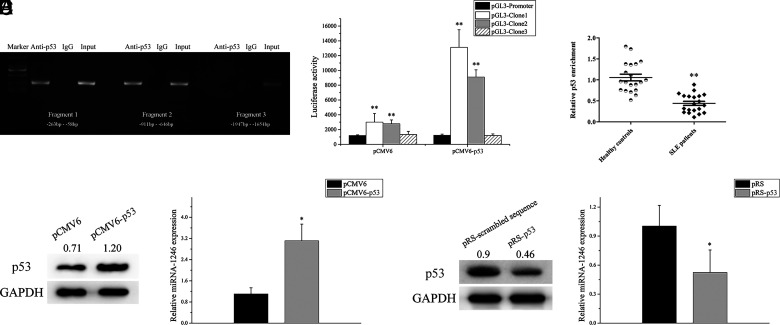 FIGURE 1.