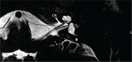 FIG. 9d.