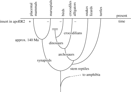 Figure 3.