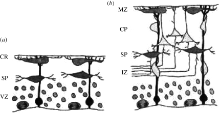 Figure 1.