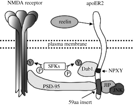 Figure 2.