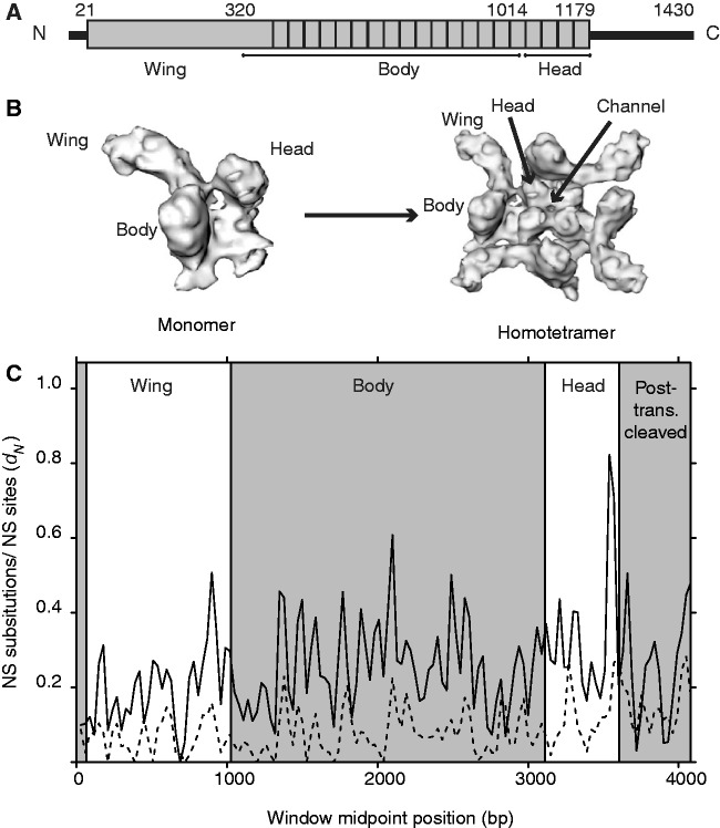 Fig. 1.