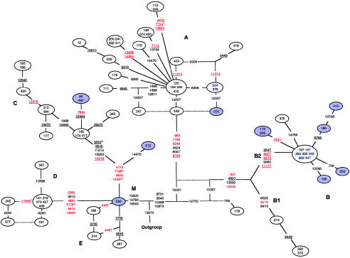 Figure  2