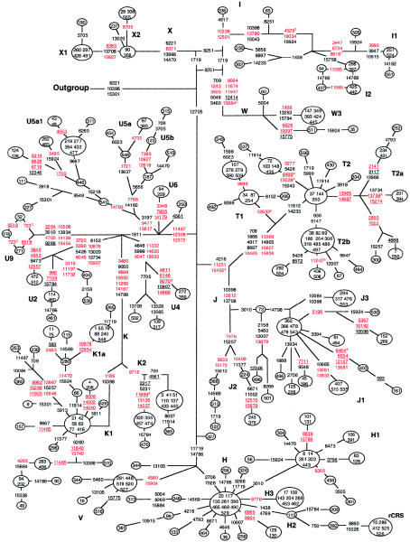 Figure  4