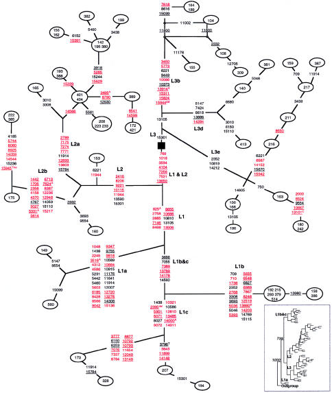 Figure  1