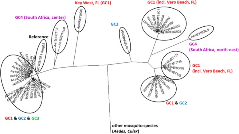 Fig. 6