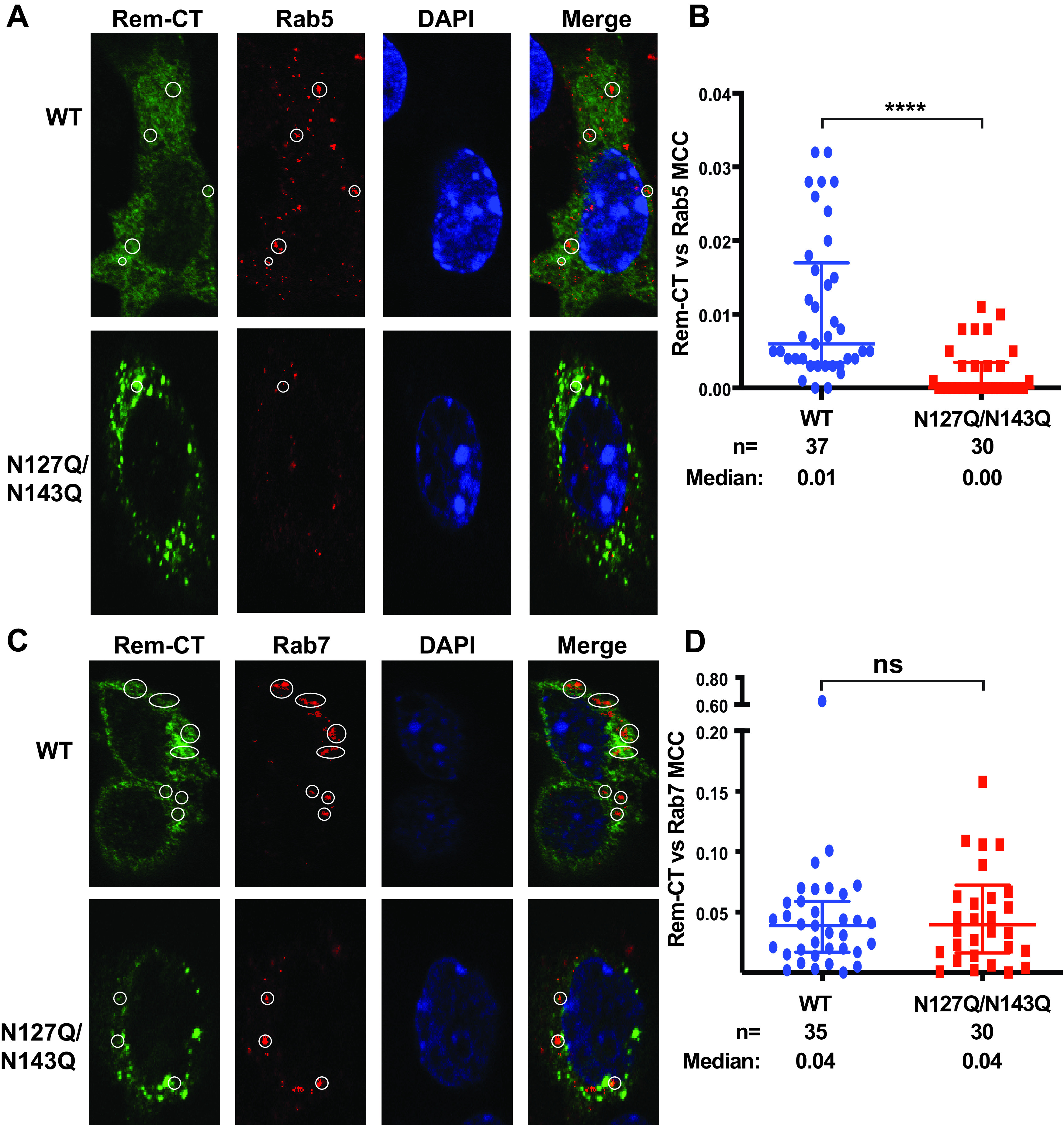 FIG 6