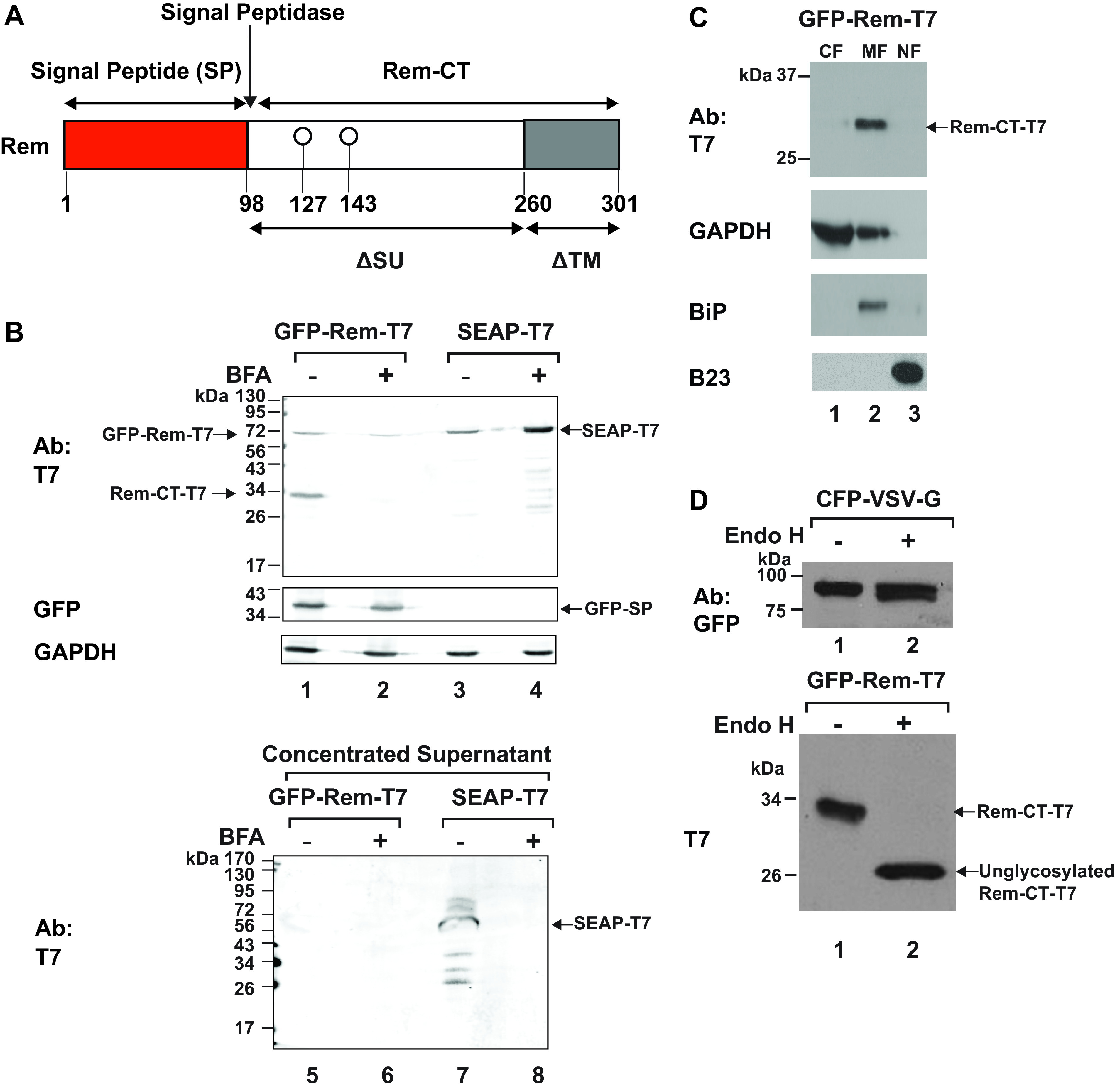 FIG 1