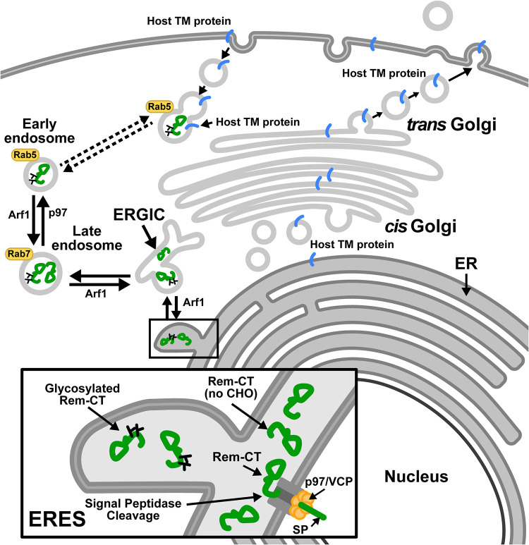 FIG 9