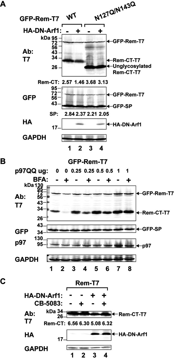 FIG 7